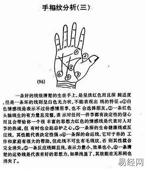 婚后手掌智慧线和感情线分叉预示了什么吗？