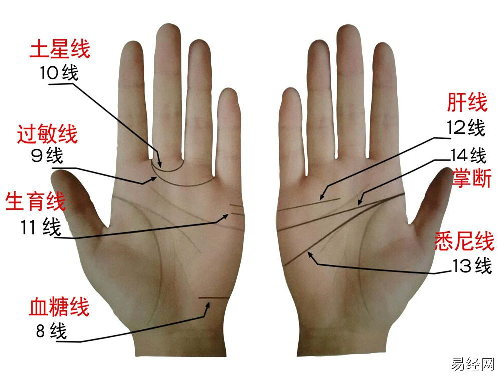 手相上的纹痕是什么意思？你知道吗？