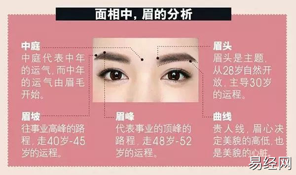 （李向东）女人眉毛上有痣代表什么？