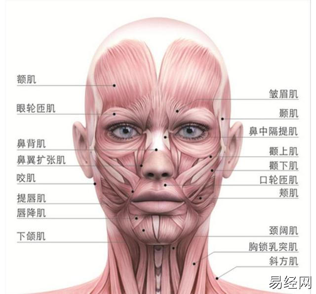 化妆师要想塑造出理想的妆容，少不了全面了解