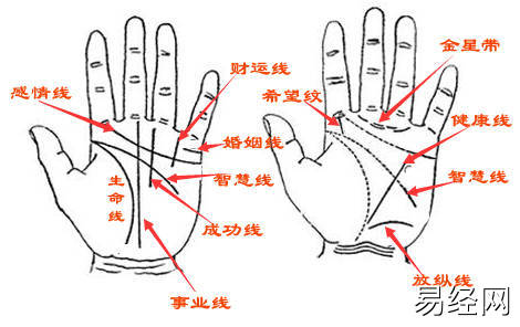 智慧线中间分叉手相图解，你知道吗？