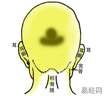 （李向东）脑袋后面有反骨的面相好么?