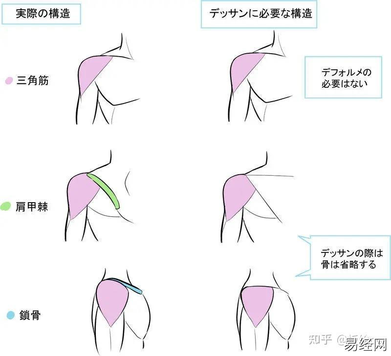 肩膀上痣与八字的关系在传统文化中的作用