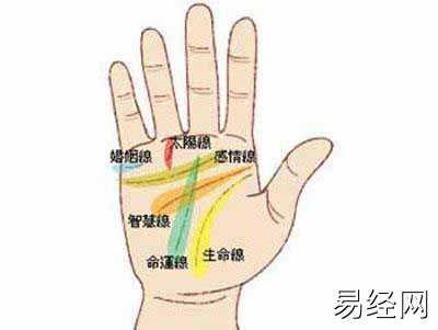 健康线构成三角纹