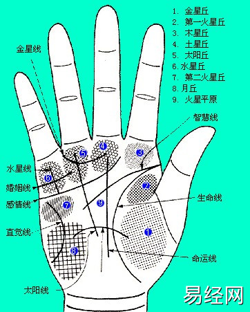 最实用的手相生命线图解大全——图解智慧线