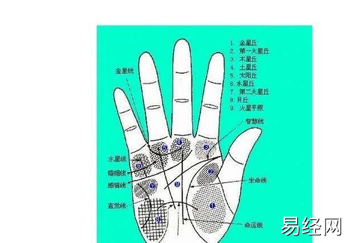 最实用的手相生命线图解大全——图解智慧线