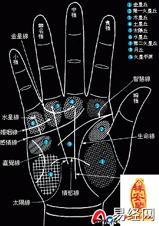 风水堂:手相婚姻线的基本分类