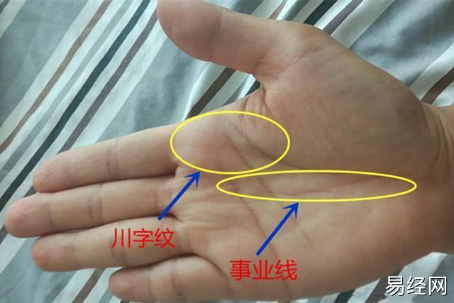 慈一命理：手掌内三大主线，婚姻有点波折