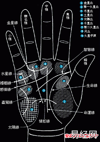 风水堂:男生手相图解大全5分不是长命