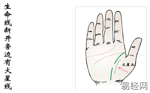 手相分析：生命线分叉出现的人，晚年胸襟不断