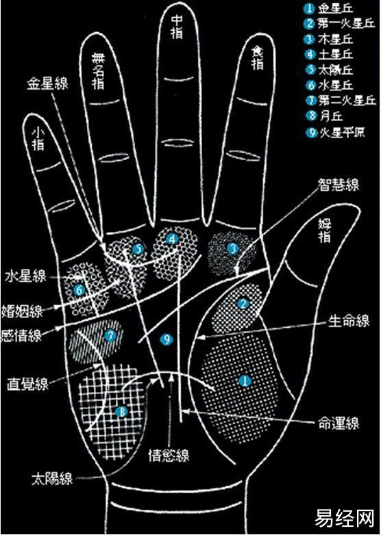 手中的双感情线有哪些不同的含义？