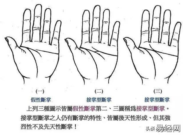 中国传统文化中的命理俗语：断掌的奥秘与解读