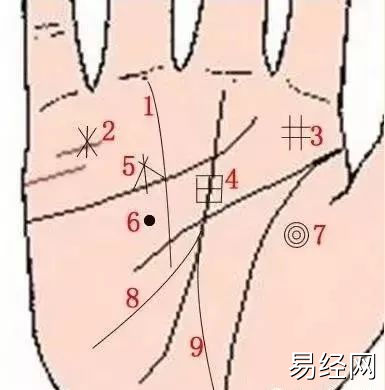 解析财运纹、星形纹、井字纹、田字纹，揭示财富密码