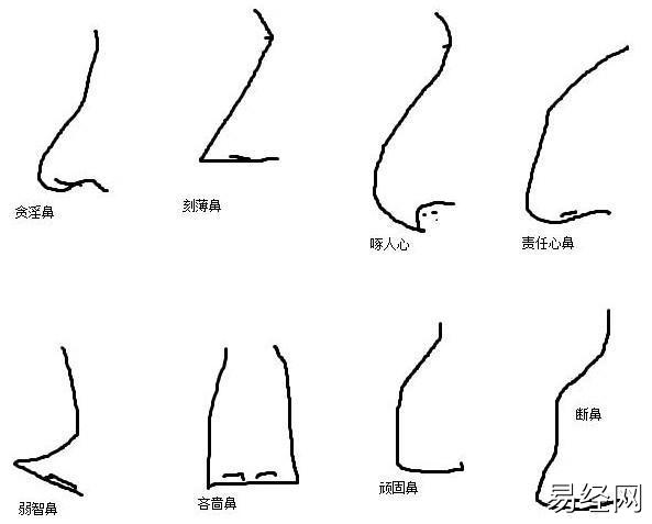 外貌与命运：长相决定待遇，智商决定选择