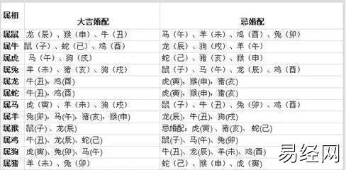 男女婚配表中数字表示什么男女最佳属相婚配表