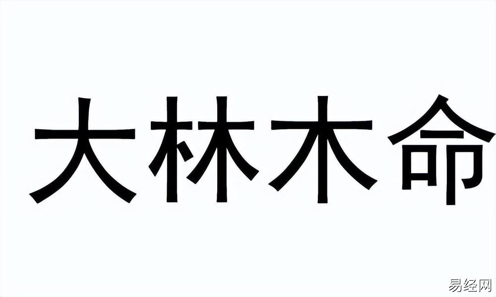 生肖龙2023感情