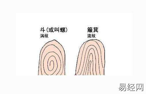 手指簸箕和鬭