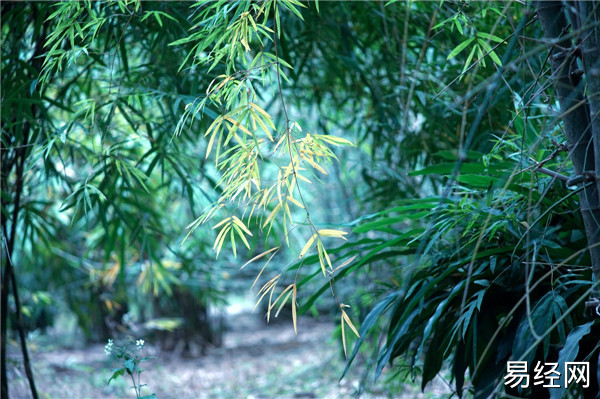 《奇门遁甲》第一篇 奇门遁甲基础知识