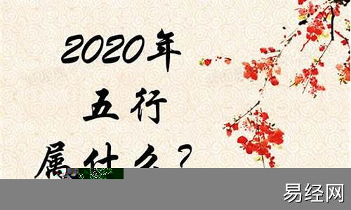 2020年出生属啥的-2020年出生属什么生肖属相啊女