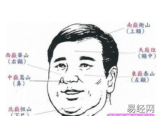 男人鼻子大的面相