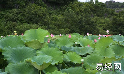 《奇门枢要》口诀