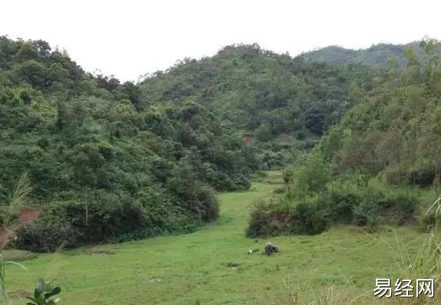 “阴盘遁甲”天干地支通用法三