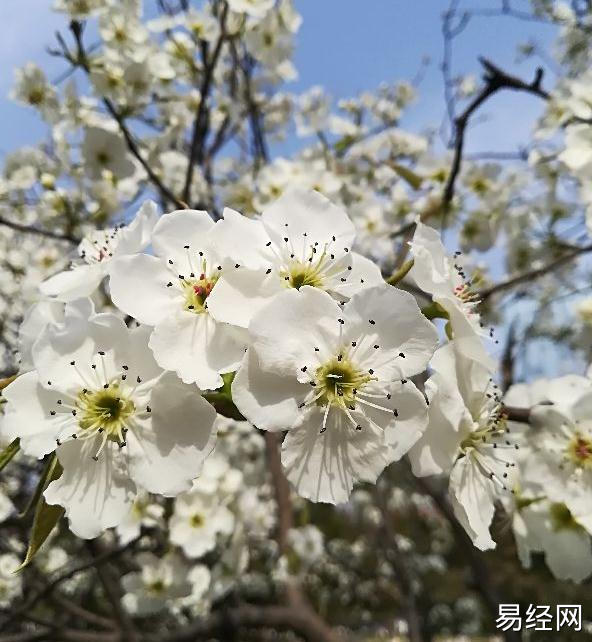 奇门遁甲预测用神之测行人走失