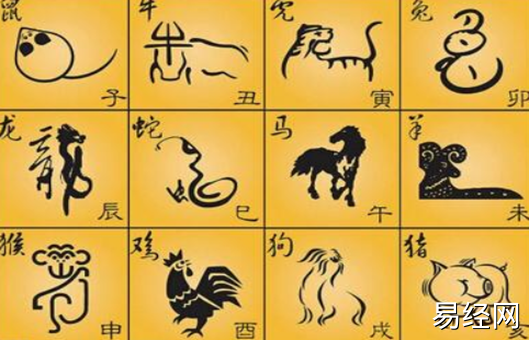 12生肖家肖和野肖