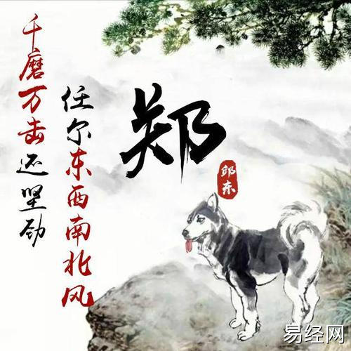 用你的名字做微信头像:十二生肖姓氏头像设计,喜欢请带走!_手机搜狐网