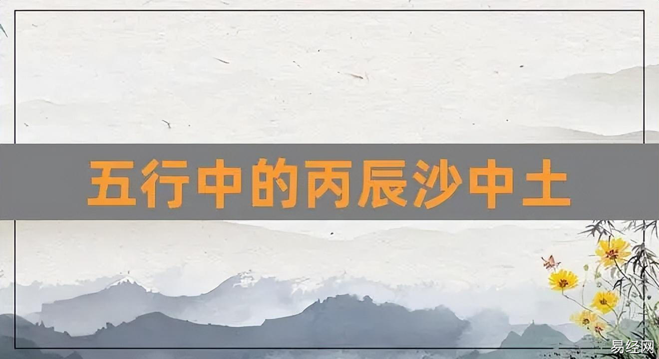 生肖龙2023感情