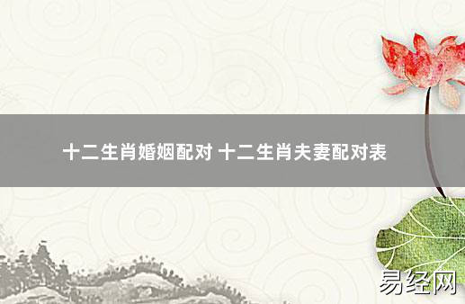 十二生肖婚姻配对 十二生肖夫妻配对表