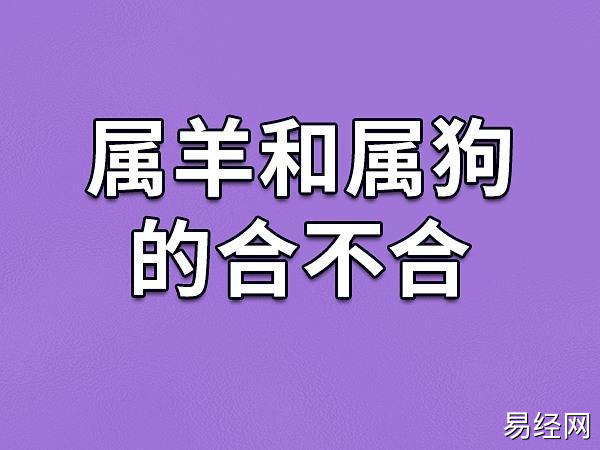 属羊和属狗的合不合