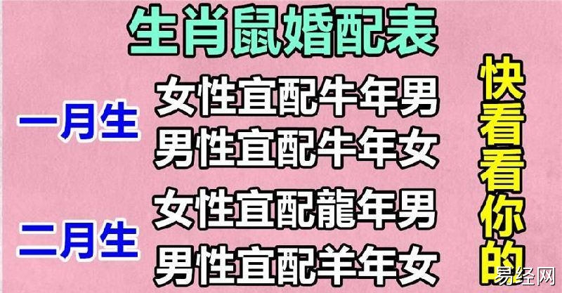 生肖鼠跟哪个生肖最般配?属鼠的婚配表,告诉你答案.