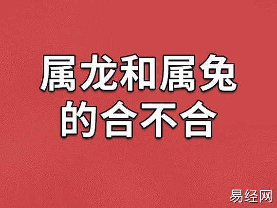 属龙和属兔的人不合,他们在十二生肖的组合中算是最差的一组了.