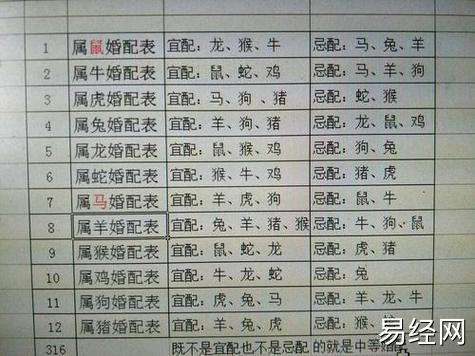 十二生肖婚配表鸡婚配表十二生肖最佳姻缘配对鸡狗