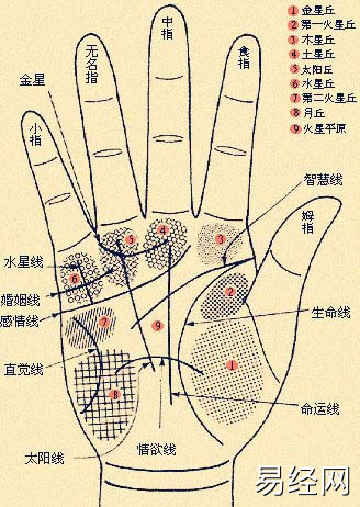 男人手掌纹路看命运图 男人左手手掌三条线正确图解