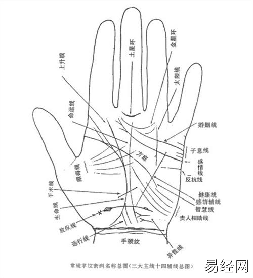 在线看手相算命免费 在线看手相算命免费软件