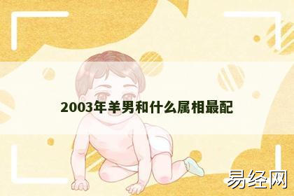 2003年羊男和什么属相最配