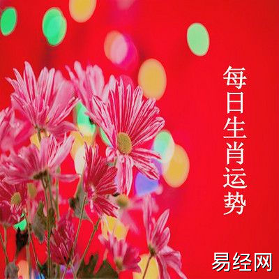 6973 每日生肖运势大解密,生肖运程,爱情,财运,工作,贵人,幸运数字