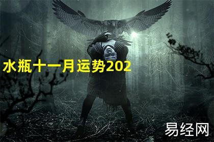 水瓶十一月运势2023