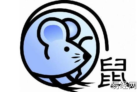 未来几年属鼠人的运势怎么样,生肖属相,鼠