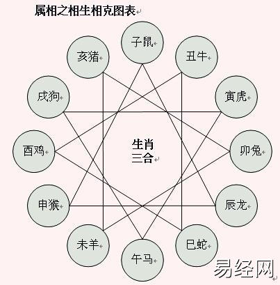 十二生肖相冲合 - 逍遥客 - 逍遥客的网易博客