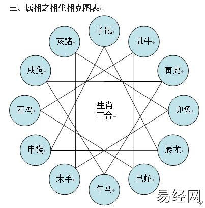 十二生肖相生相克图表