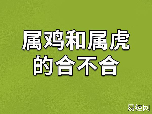 属鸡和属虎的合不合