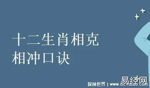 十二生肖相冲相克表口诀2023本命年的赶紧远离这些生肖