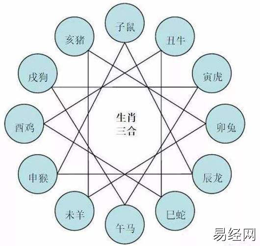 什么生肖相冲相克