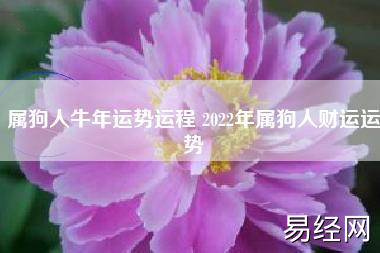 属狗在牛年财运如何