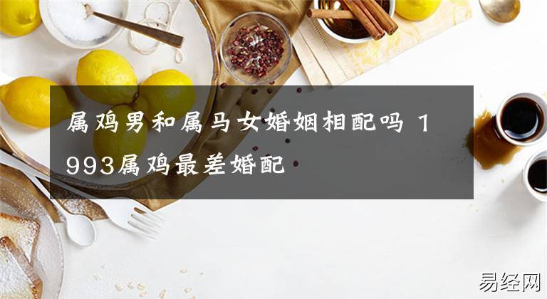 属鸡和属马的合不合财 属马的和属鸡的合不合财