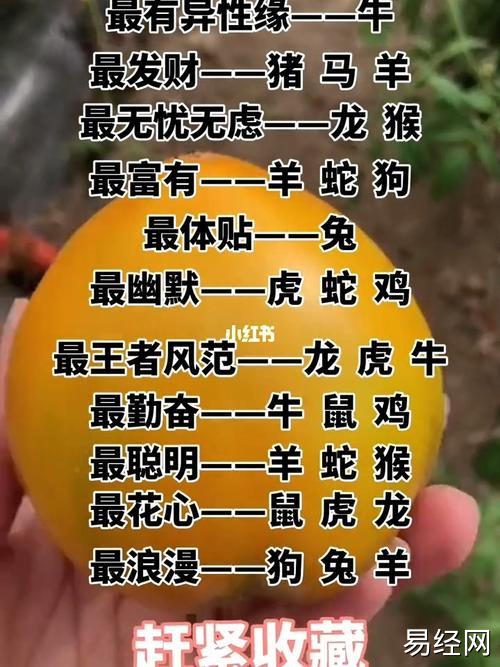 十二生肖运势_好运连连_星座命理_星座命理其他