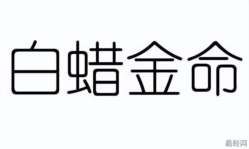 生肖龙2023感情